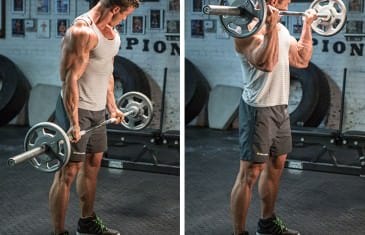 Barbell Curl