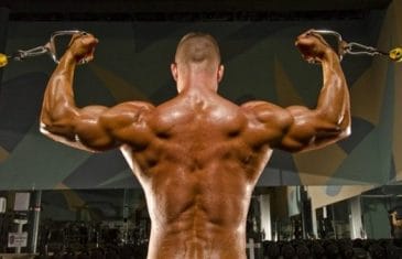 High cable curl nasıl