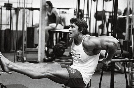 bench dips