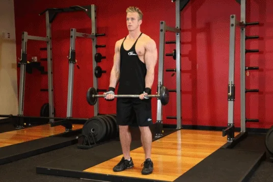 [Resim: barbell-curl.gif.webp]
