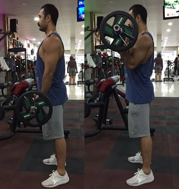 [Resim: barbell-curl.jpg.webp]