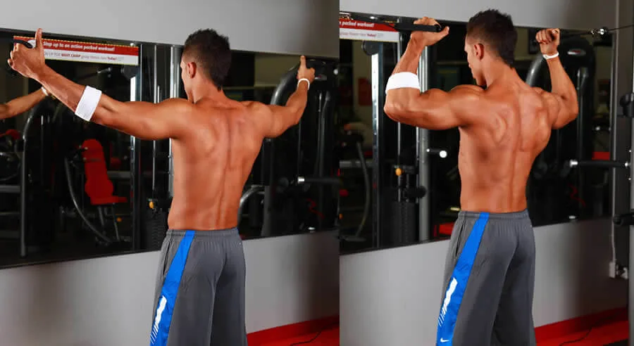 [Resim: high-pulley-curl.jpg.webp]