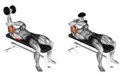 [Resim: one-arm-lying-dumbbell-triceps-extension...e.jpg.webp]