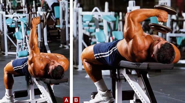Tek dumbbell triceps online