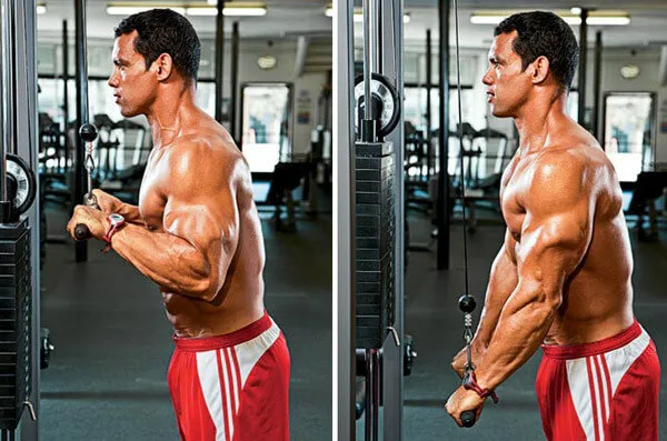 [Resim: triceps-pushdown.jpg.webp]