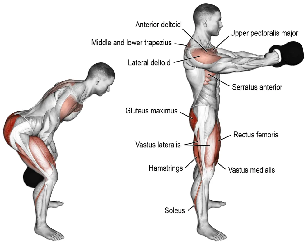 [Resim: Kettlebell-swing-muscle.png.webp]