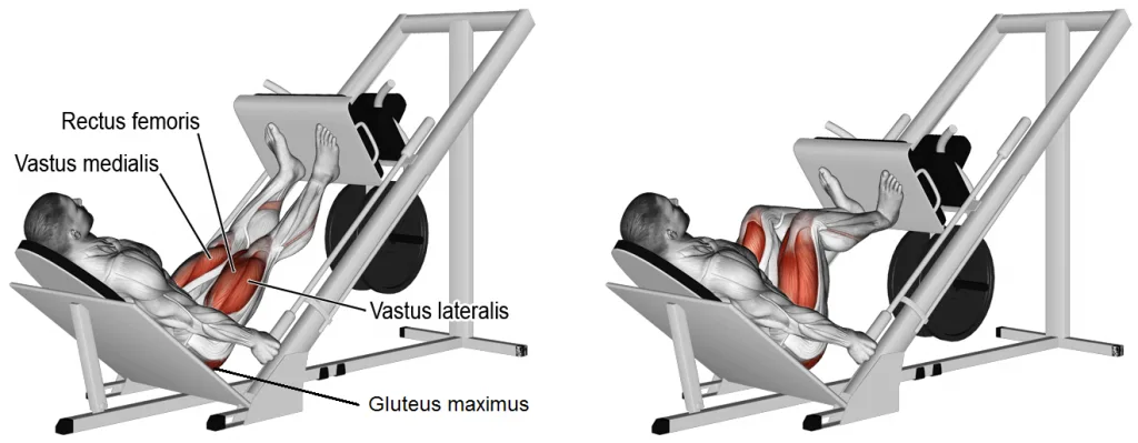 [Resim: Leg-Press-Nereyi-Calistirir-1024x399.png.webp]