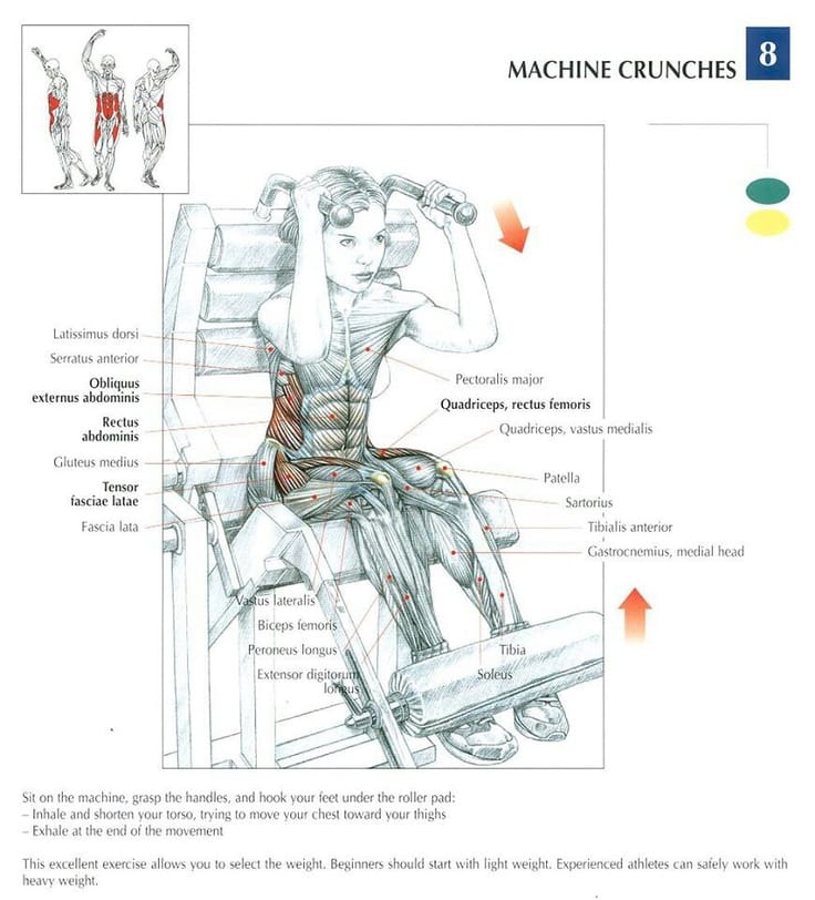 Machine Crunches