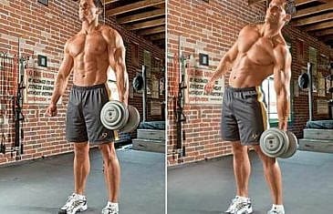 dumbbell side bend