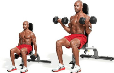 seated biceps dumbbell