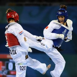 536161_292187524205307_649844599_n