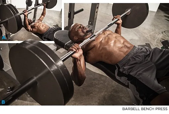 [Resim: barbell-bench-press.jpg.webp]