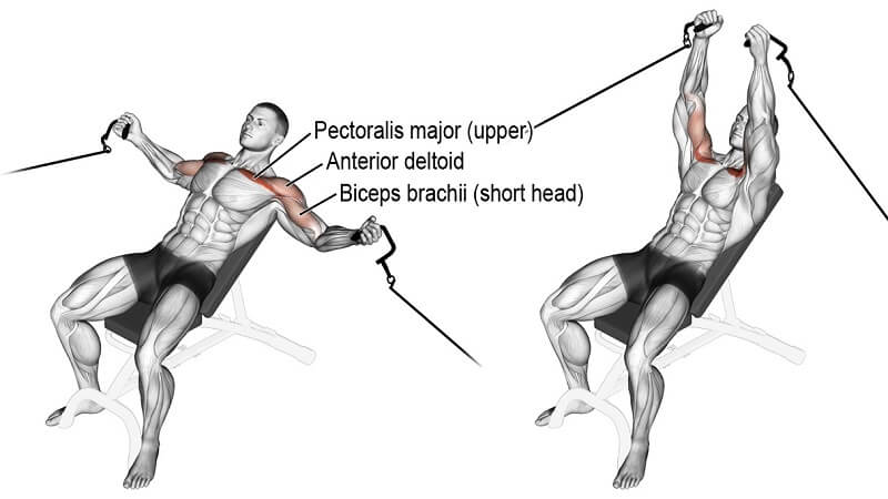 incline bench cable fly nereyi çalıştırır